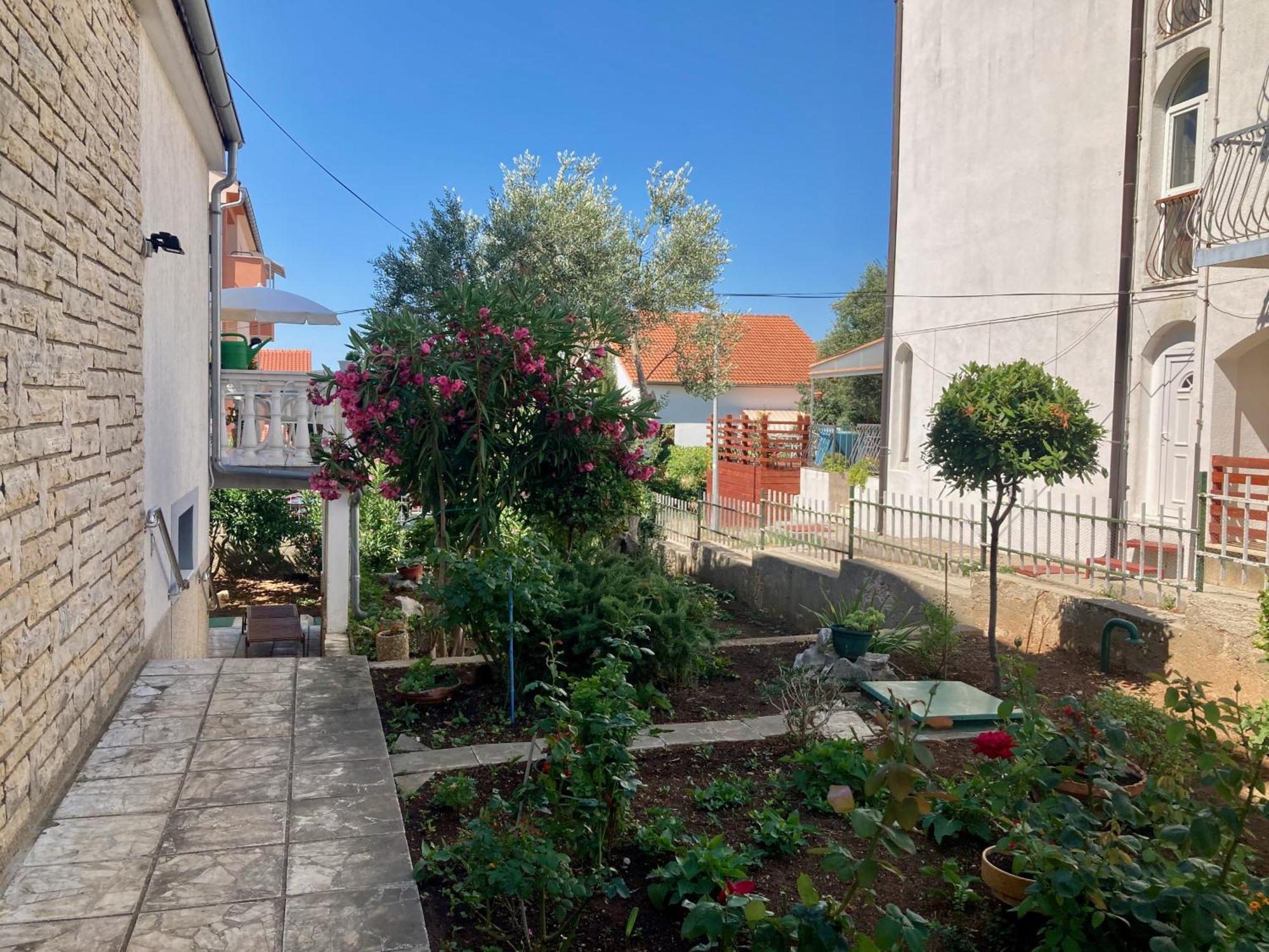 Apartments Villa Agatha Sveti Filip i Jakov Esterno foto